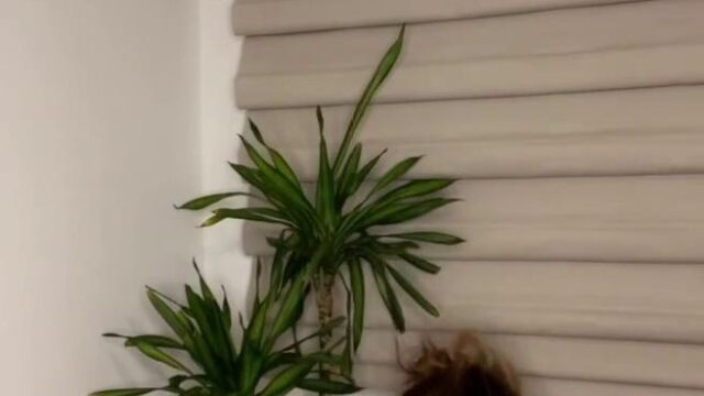 Brittany Furlan Nude Lingerie Strip Video Leaked