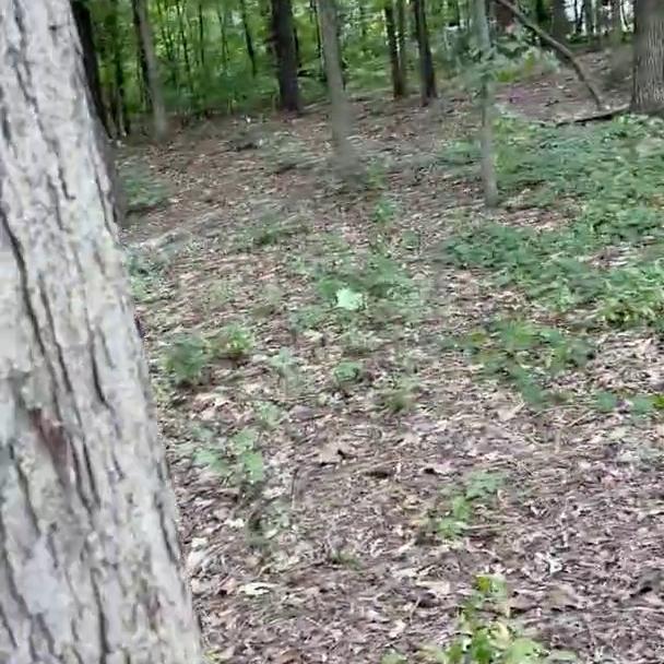 Soogsx Outdoor Blowjob Facial PPV Video Leaked