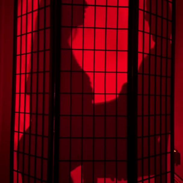 Christina Khalil New Sex Video with Moaning Vibes Behind Opaque Wall Leaked